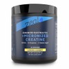 Zeal Electrolyte Powder w/Micronized Creatine (30 Servings | Lemon Sorbet)