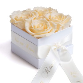 ROSEMARIE SCHULZ Heidelberg Preserved Champagne Roses in Box - Infinity Flowers Long Lasting in White Box with Satin Ribbon in Beige (Champagne)