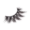 Broadway Eyes Strip False Eyelashes Multipack Fake Eyelashes Natural to
