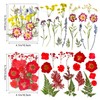 Tender Epoch Dried Pressed Flowers for Crafts Resin,4 Sheets Real