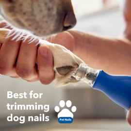 Dremel MAX Pet Nail Grinder (416DM) for Fast, Gentle Paw Grooming