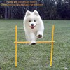 Dog Agility Equipment, Agility Poles, Dog Jumps, Outdoor Obstacle Course