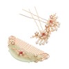 Vaguelly 3pcs Ancient Style Hair Clip Set with Shaped Acetate