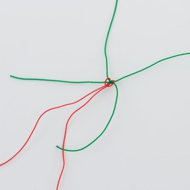 daio化成 Vegetables Vine in a Net 15 cm Eyes 1 X/10 m