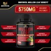 Mullein Leaf Capsules 𝟓𝟕𝟓𝟎𝐦𝐠 Strength w. Quercetin, Artemisinin, Quinine -