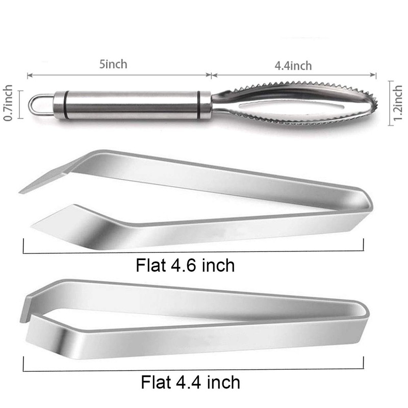 Fundament Fish Scaler 304 Stainless Steel Fish Scale Remover Kitchen