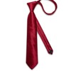 DiBanGu Red Plaid Ties for Men Classic Extra Long Solid