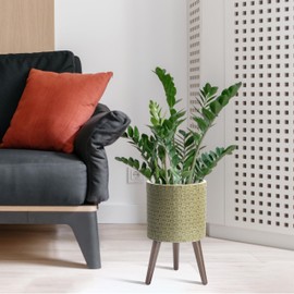 D'vine Dev 10 Inch Modern Geometric Tile Patterned Sleek Planter Pot with Stand, Indoor Outdoor Decorative Plant Holder, Distressed Olive, 88-Z-B-4