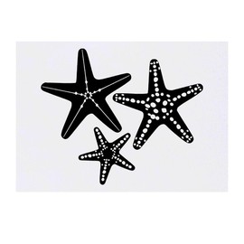 'Starfish' Temporary Tattoo - Water Resistant, Skin-Safe, Non-Toxic Transfer (TO00059265)