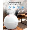 Dual-Function Humidifier & Dehumidifier 152oz Water Tank Steam distillation humidification