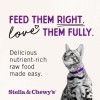 Stella & Chewy's Freeze-Dried Raw Cat Dinner Morsels - Salmon