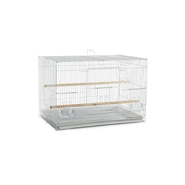 A&E Cage Co. 30"x18" Flight in Color Retail Box (single pack)