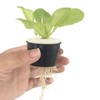 100PCS Net Cups with 100PCS Sponges Plastic Breathable Bottomless Garden
