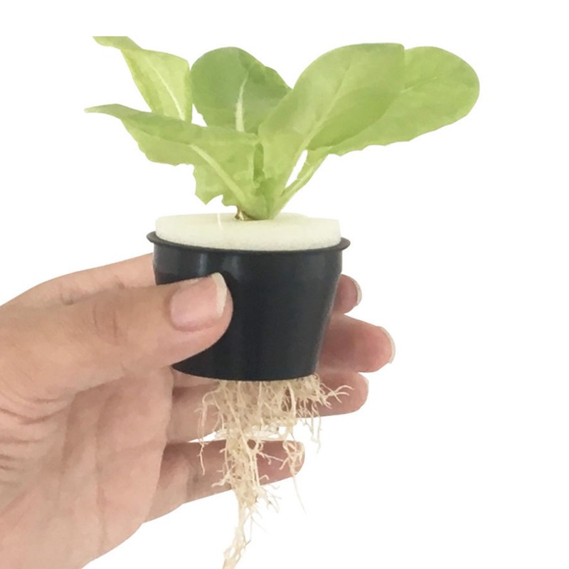 100PCS Net Cups with 100PCS Sponges Plastic Breathable Bottomless Garden