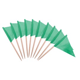 stidsds Solid Green Cupcake Toppers Flags Mini Small Plain Green Triangle Toothpick Stick Flag Blank DIY Color Decoration(100 pcs)