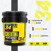 34 Zero Creatina Monohidratada 5kg 1000 Servicios