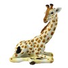 Jungle Animal Giraffe Sitting Small