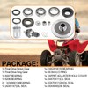 Rear Differential Ring Pinion Gear Bearing Seal Kit & Nut