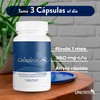 Salud Celadrin 90 Capsulas para Dolor Articular y Muscular |