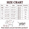 Moonpet Step in Air Boy Dog Harness Leash Set- All