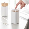 Popup Toothpick and Cotton Swab Storage Case Toothpick Holder
