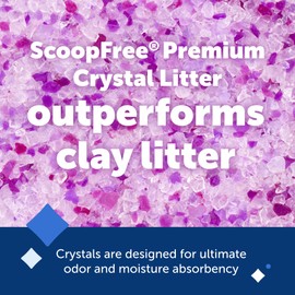 PetSafe ScoopFree Premium Crystal Cat Litter - Outperforms Clay Litter - Refill Packs - Reusable Tray Compatible - Lavender Scent - 4.3 lb Bags - 2 Pack