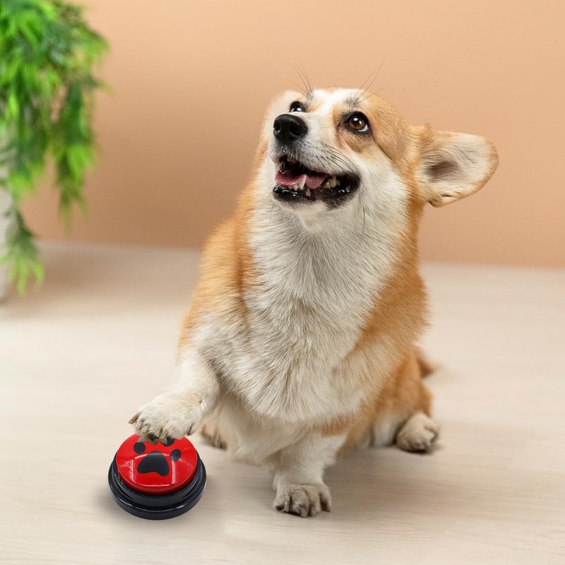 WUSJCOF 2 Pieces Buzzer with Recording Function, Intelligence Toy for