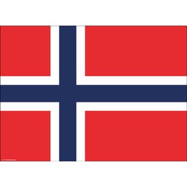Place Mat Set Made of Premium Natural Paper – Norway Flag – Pack of 10 – High-Quality Table Decoration 44 x 32 cm Ideal Decoration for Themed Parties or Norwegian Evenings