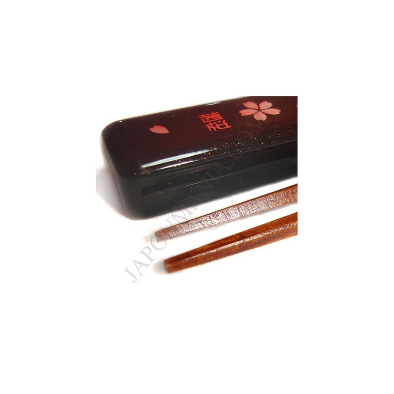たつみや(Tatsumiya) HAKOYA 18.0スリム箸箱セット 茜桜赤 53580