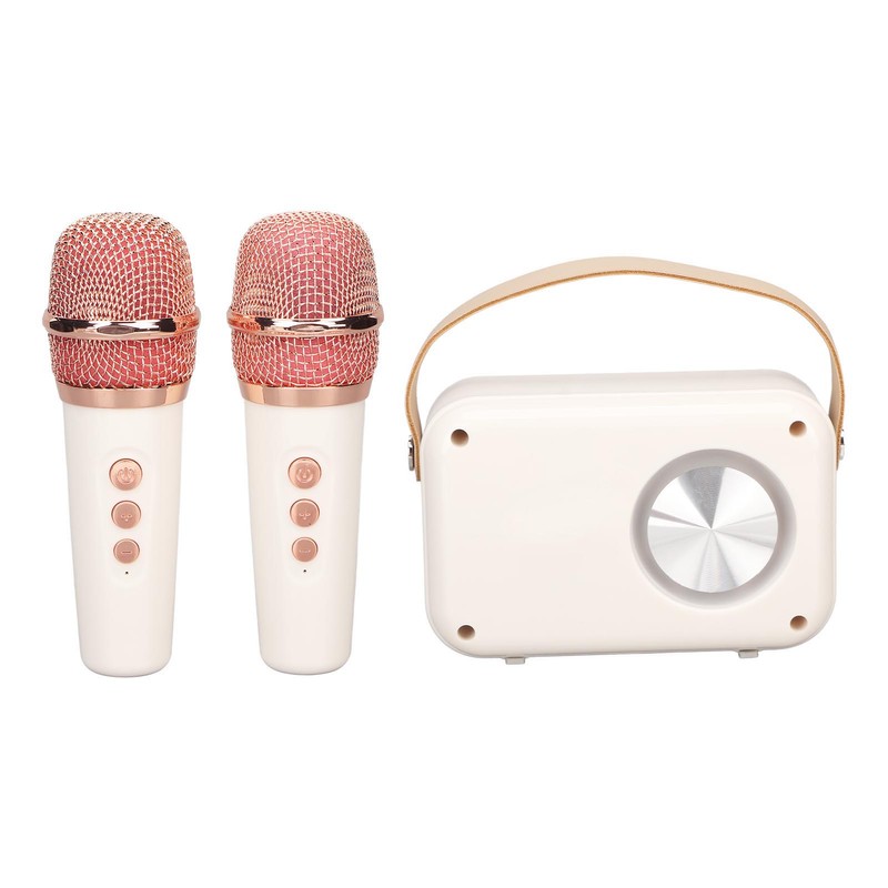 Karaoke Machine Multifunction Enhanced Bass 6 Modes Portable Bluetooth PA