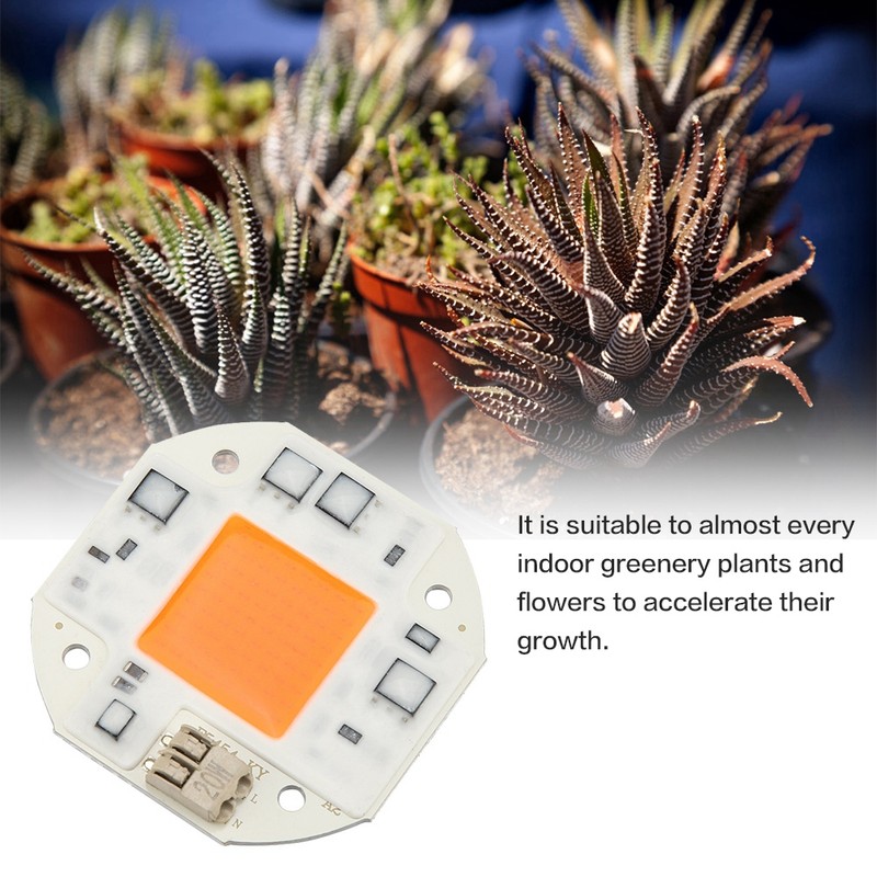 LED Chip Full Spectrum Plant Grow Light COB Bead Lamp