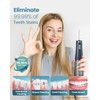 Onlyone Water Dental Flosser Pick for Teeth 300ML Portable Oral