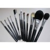 Royal Brush S.I.L.K set de brochas para viaje 12 piezas