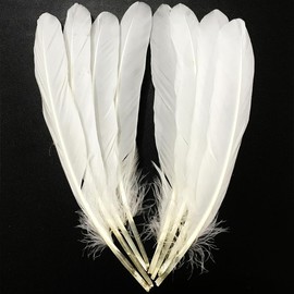 50Pcs Natural White Feathers 8"~10" Long,Beautiful Bulk Feather for Crafts (20-25CM),Big Size Bilateral Goose Feather,for Wedding Dress and Party Decoration,DIY Fabricating Handicraft Article
