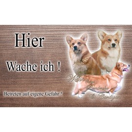 Warnschild Hund oder Warnzeichen Welsh Corgi Pembroke 20 cm