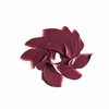 ANNEMARIE BÖRLIND Lip Effective Natural Beauty Lipstick Matt Passion Power