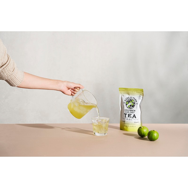 Cold Brew Money Ten Earl Gray Tea Bags 0.2 oz