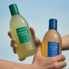 Aromatica Best Shampoo 800ML Set (Rosemary Shampoo 400ML + Tea
