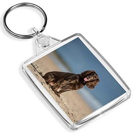 Cocker Spaniel Keyring Puppy Gun Dog Beach Working Keyring #12508