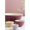 Mason Cash in The Meadow Set of 3 Measuring Cups