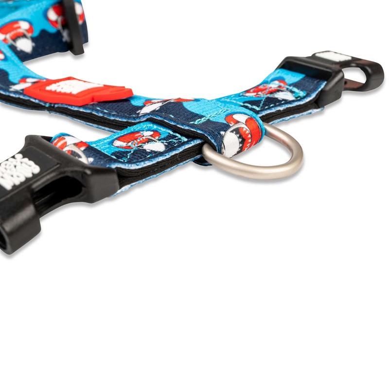 Max & Molly Frenzy The Shark H-Harness, S