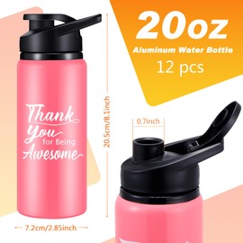 meekoo 12 Pcs Appreciation Gifts Aluminum Bulk Water Bottles Thank You for Being Awesome Lightweight Sports employee Inspirational Bike Water Bottle with Snap Lids for Travel (Silver,20oz)