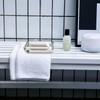 Linkidea 2 Pack Rectangle Glass Soap Dish, Bar Soap Sponge