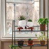 Meltset Cute Face Planter Pot - Funny Double Head Planter