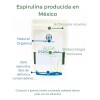 Alga Espirulina En Polvo Sin Conservadores Ni Aditivos 100 G