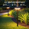 LETMY Solar Pathway Lights Outdoor, 6 Pack 2X Brighter Solar