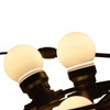 G50 Bulb String Light 5M 10LED White Globe Bulb Decorative