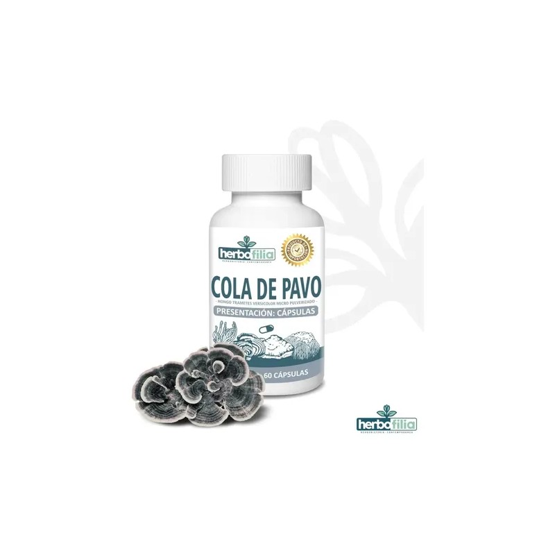 240 Caps Melena De León, Cola De Pavo, Cordyceps Y