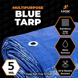Better Blue Poly Tarp 6' x 8' (2-Pack) - Multipurpose Protective Cover - Lightweight, Durable, Waterproof, Weather Proof - 5 Mil Thick Polyethylene - by Xpose Safety