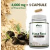 Maca Root Capsules 4000mg – 180 Vegan Capsules – 6-Month